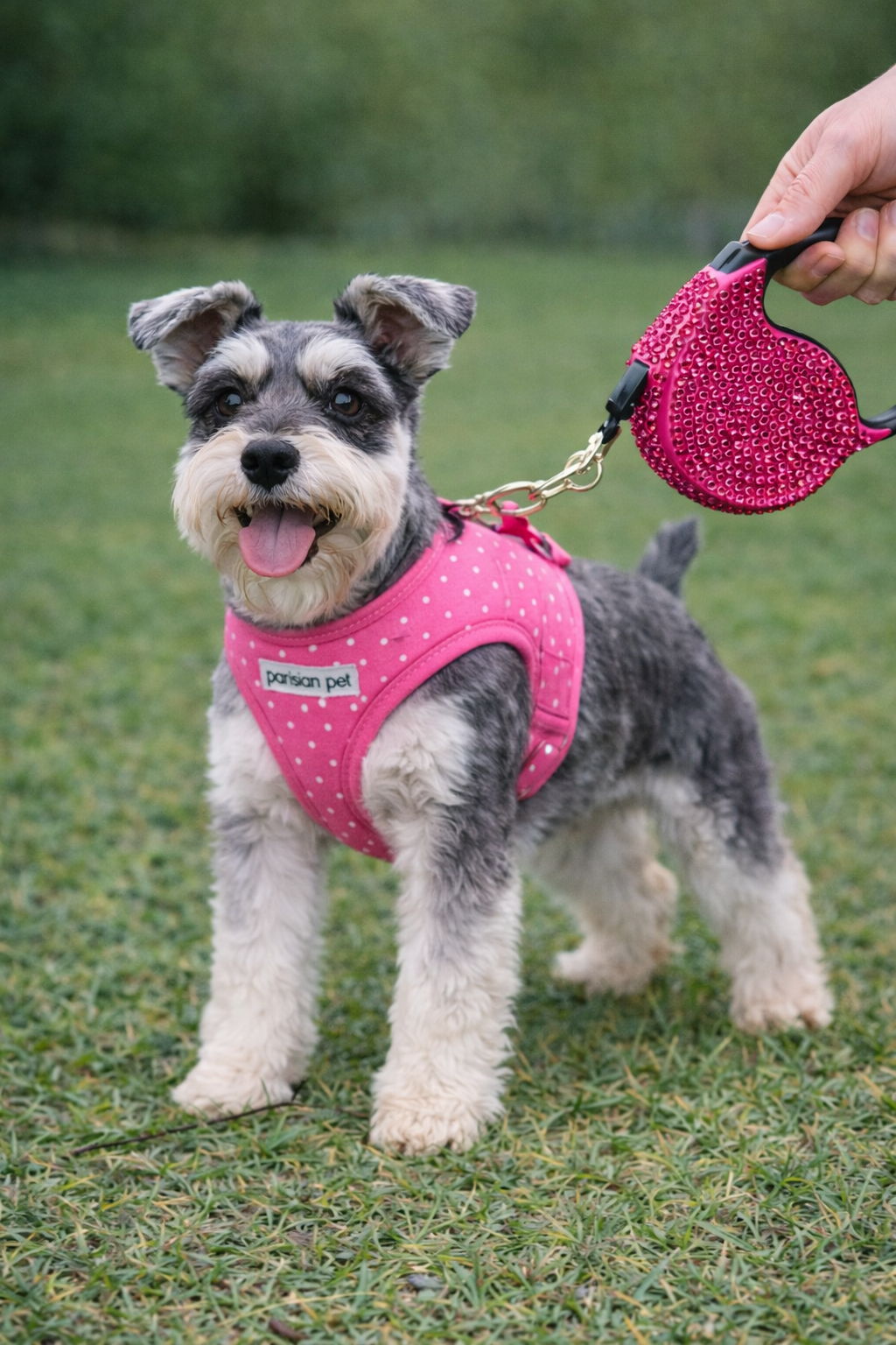 Parisian Pet Crystal Retractable Leash Dark Pink