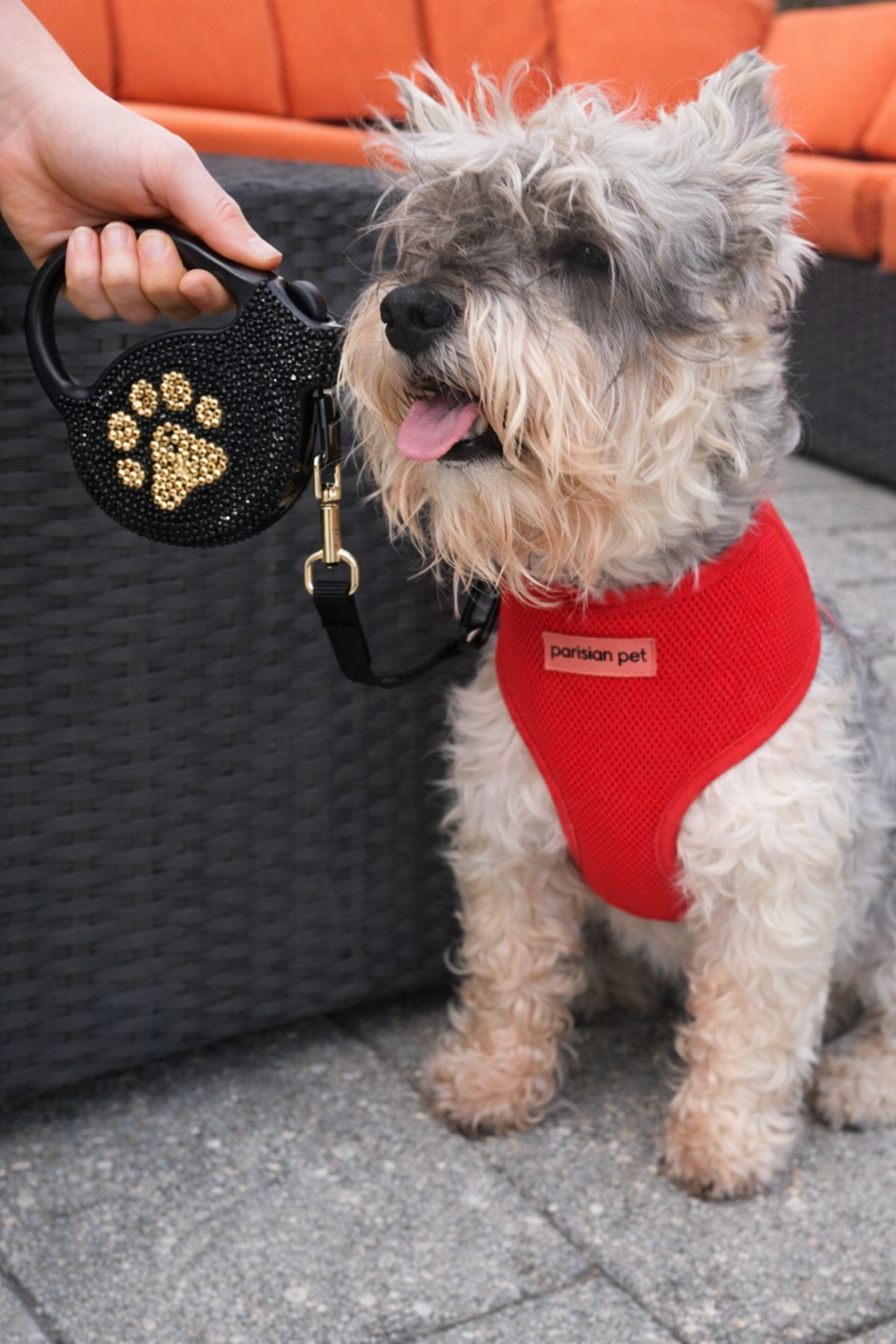 Parisian Pet Crystal Retractable Leash Golden Paw