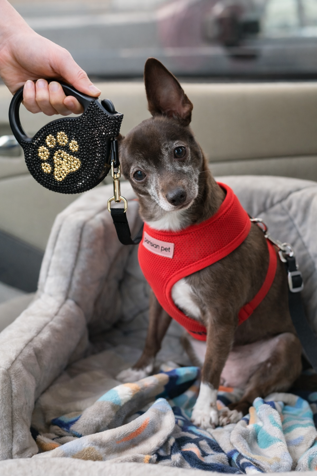 Parisian Pet Crystal Retractable Leash Golden Paw