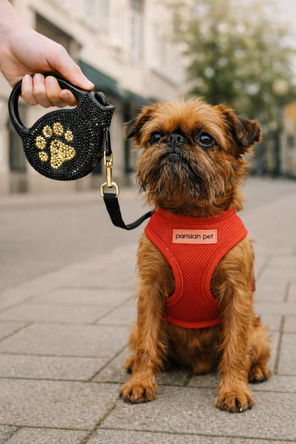 Parisian Pet Crystal Retractable Leash Golden Paw