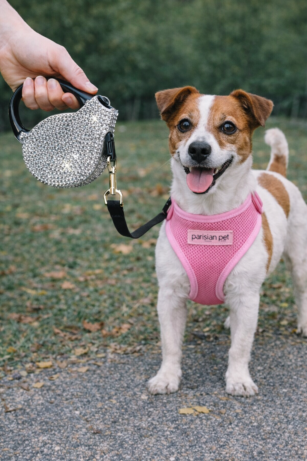Parisian Pet Crystal Retractable Leash Silver