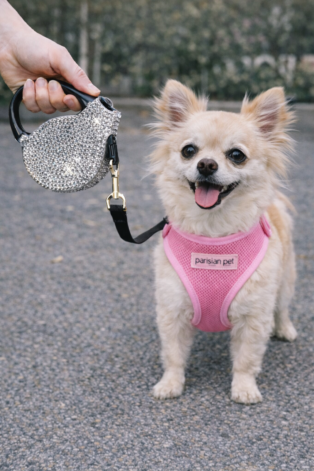 Parisian Pet Crystal Retractable Leash Silver