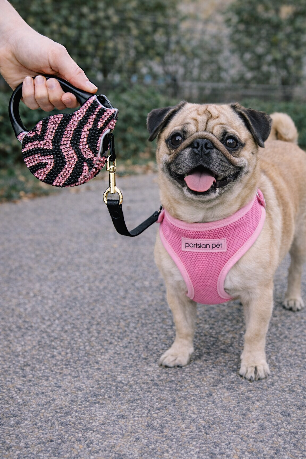 Parisian Pet Crystal Retractable Leash Zebra Pink