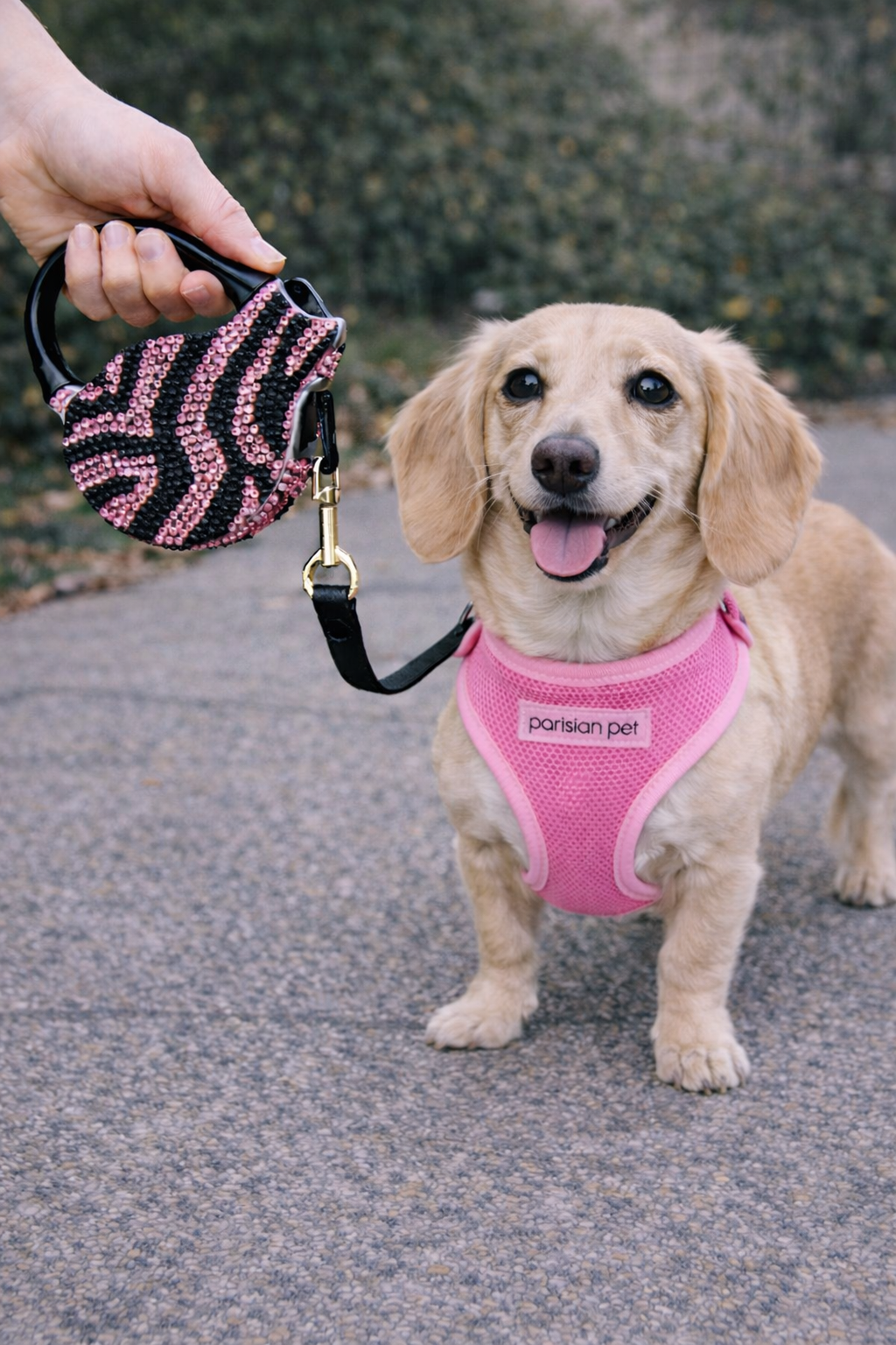 Parisian Pet Crystal Retractable Leash Zebra Pink