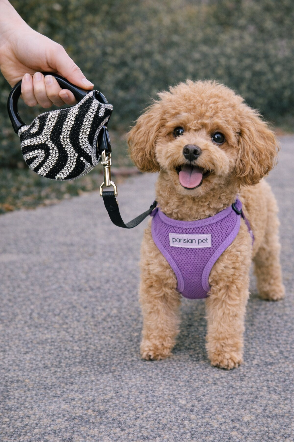 Parisian Pet Crystal Retractable Leash Zebra Silver