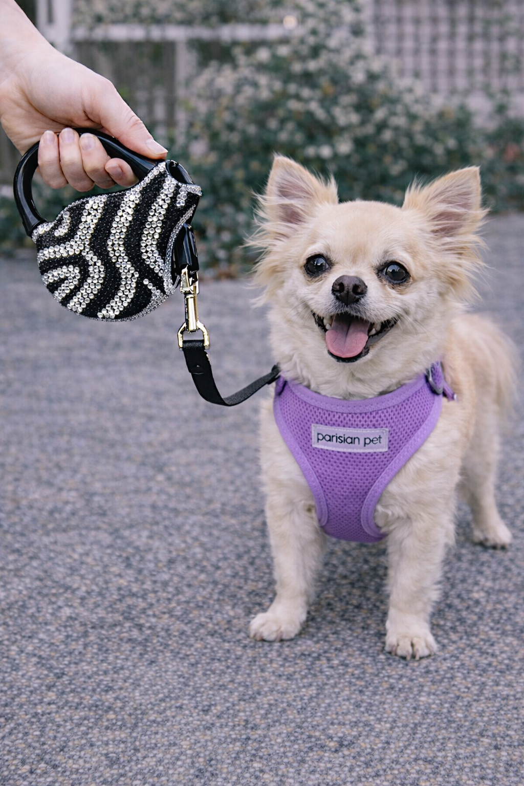Parisian Pet Crystal Retractable Leash Zebra Silver