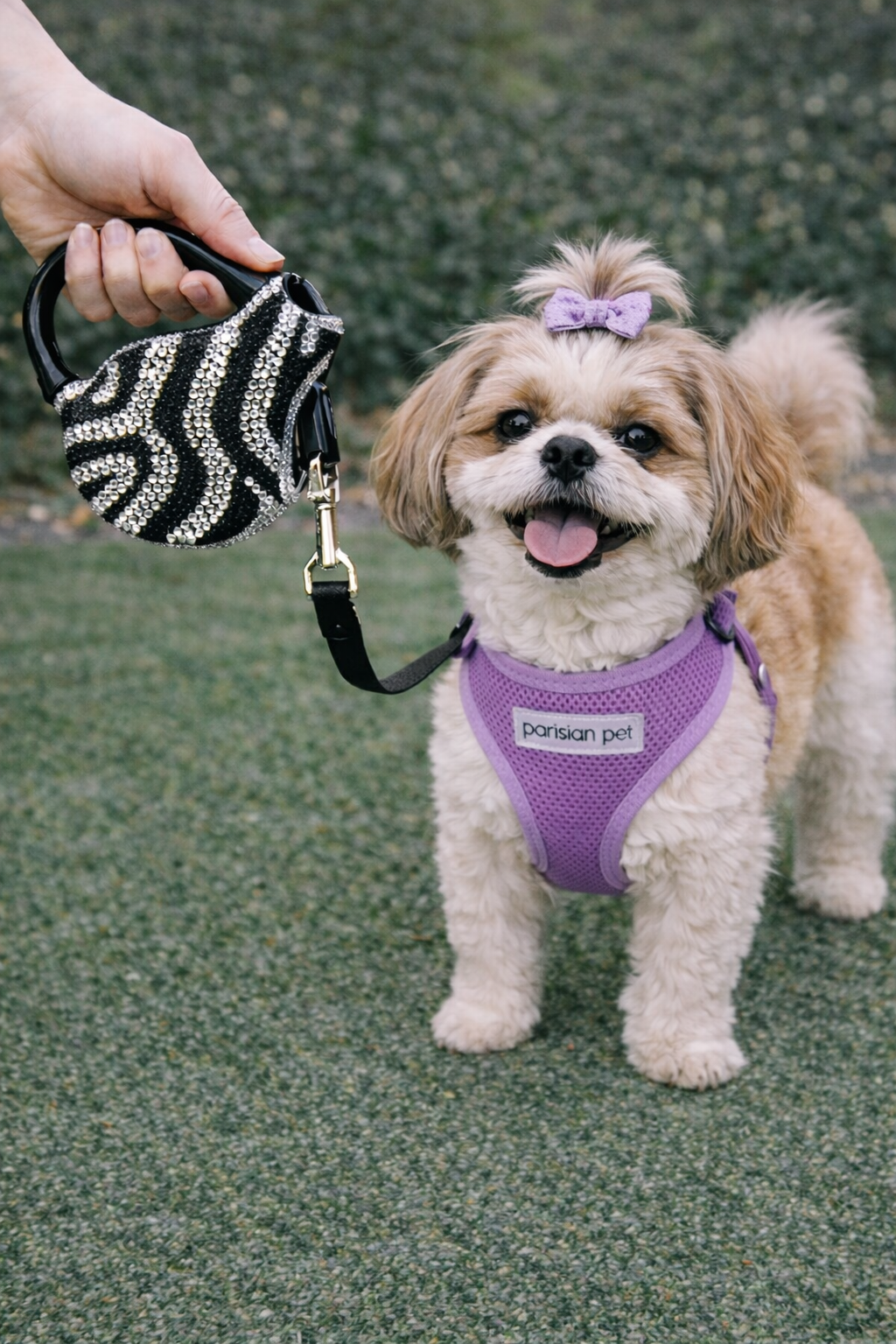 Parisian Pet Crystal Retractable Leash Zebra Silver