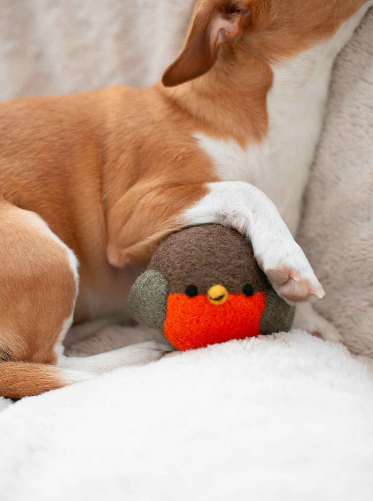 Robin Beastball Dog Toy
