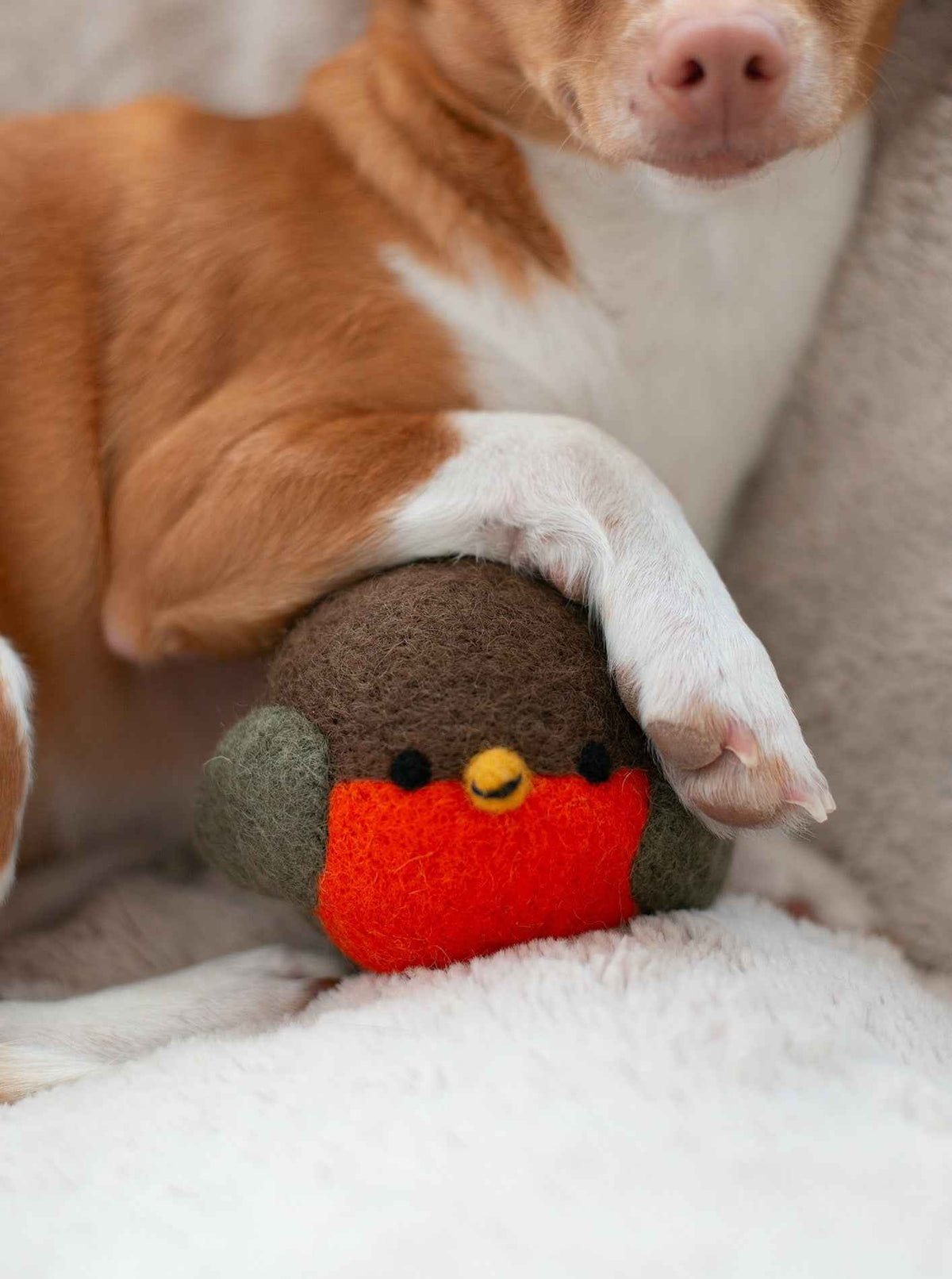 Robin Beastball Dog Toy