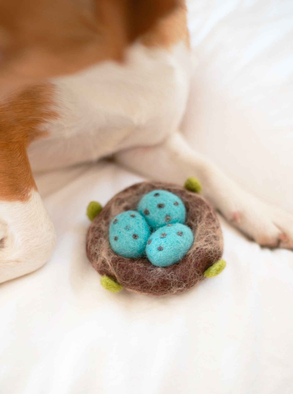 Robins Nest Wool Dog & Cat Toy
