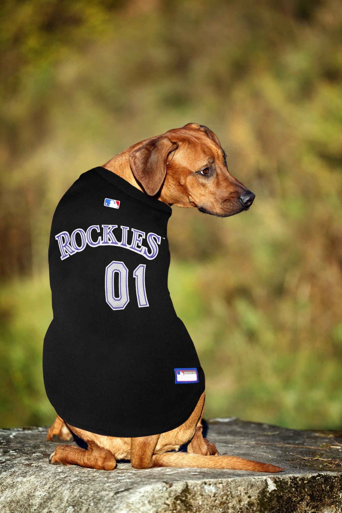 MLB Colorado Rockies Mesh Pet Jersey