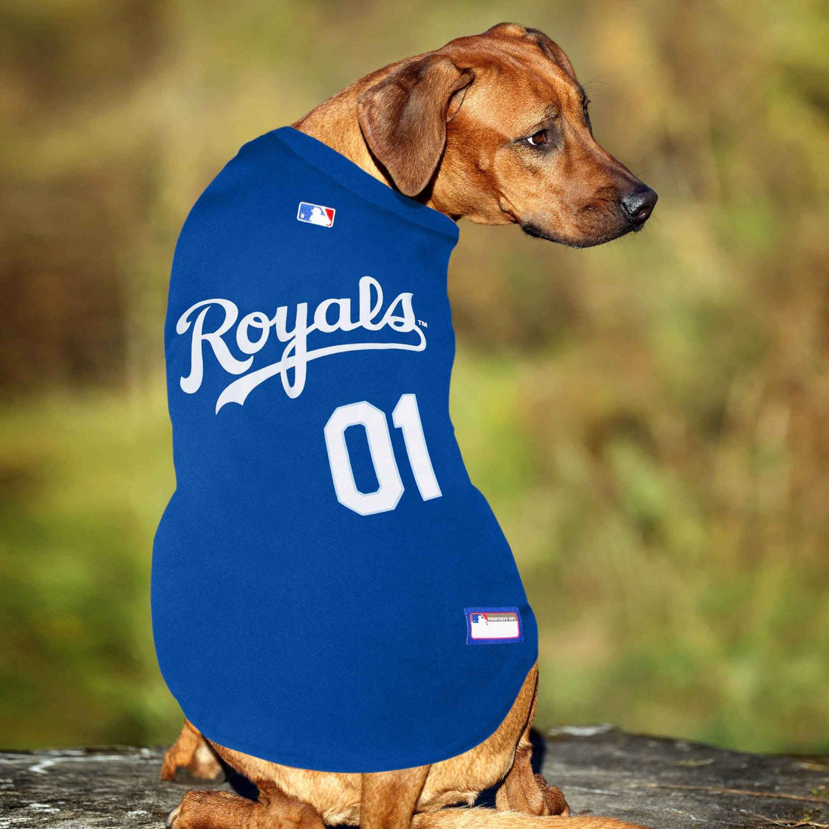 MLB Kansas City Royals Mesh Pet Jersey