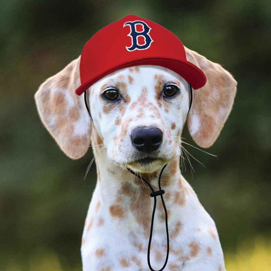 MLB Boston Red Sox Dog Hat