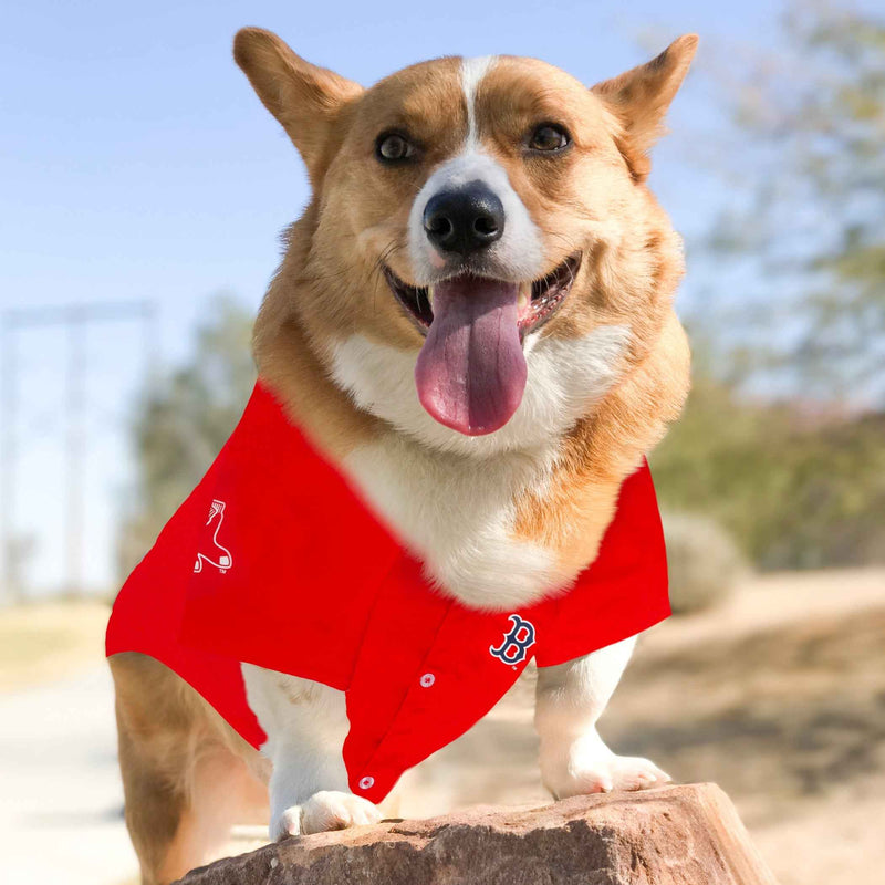 MLB Boston Red Sox Mesh Pet Jersey