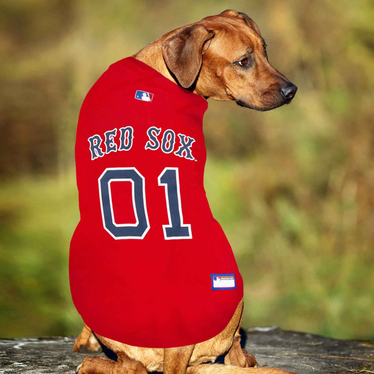 MLB Boston Red Sox Mesh Pet Jersey