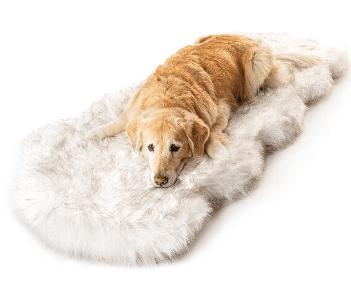 PupRug Runner Faux Fur Memory Foam Dog Bed Curve White with Brown Accents