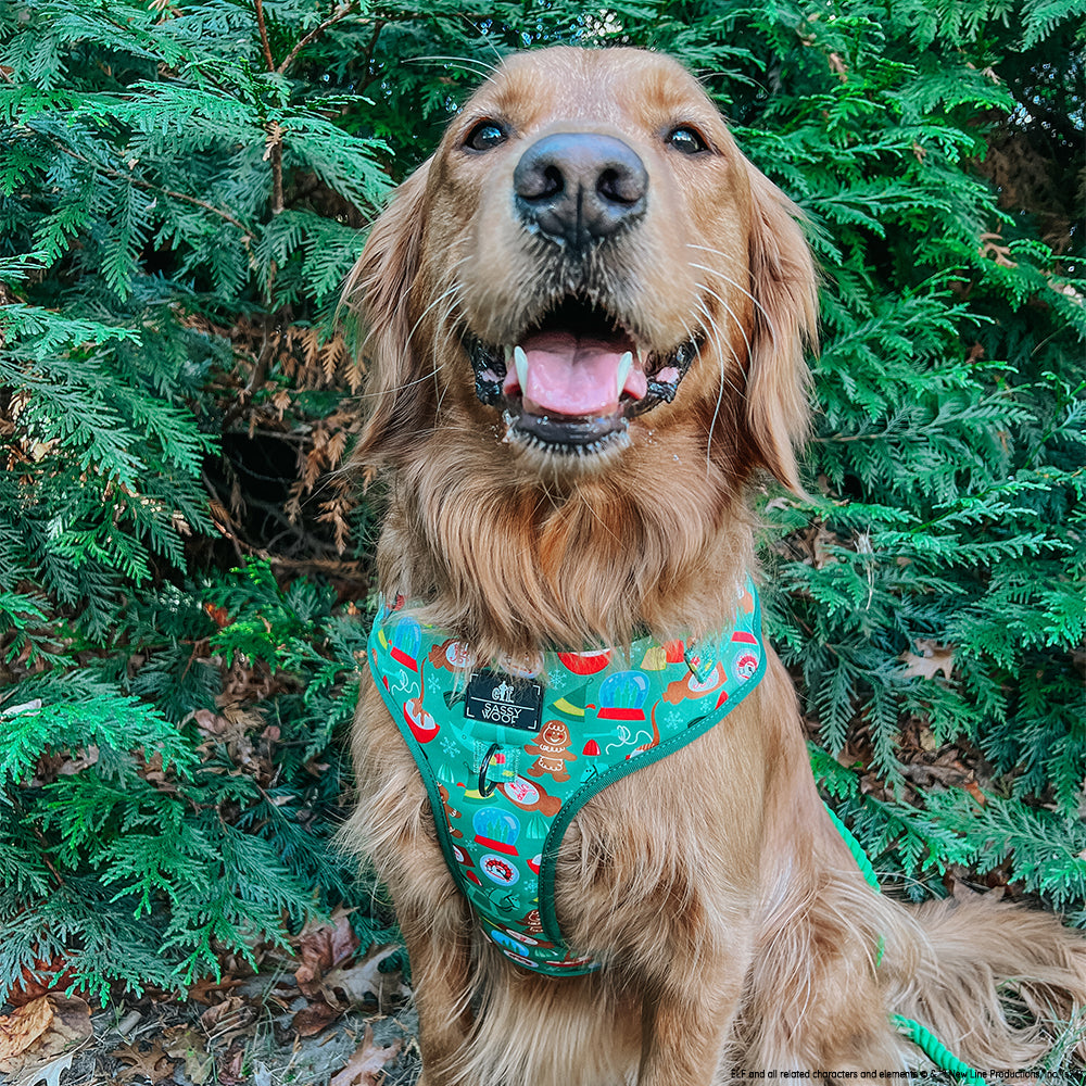 Dog Adjustable Harness - Elf™