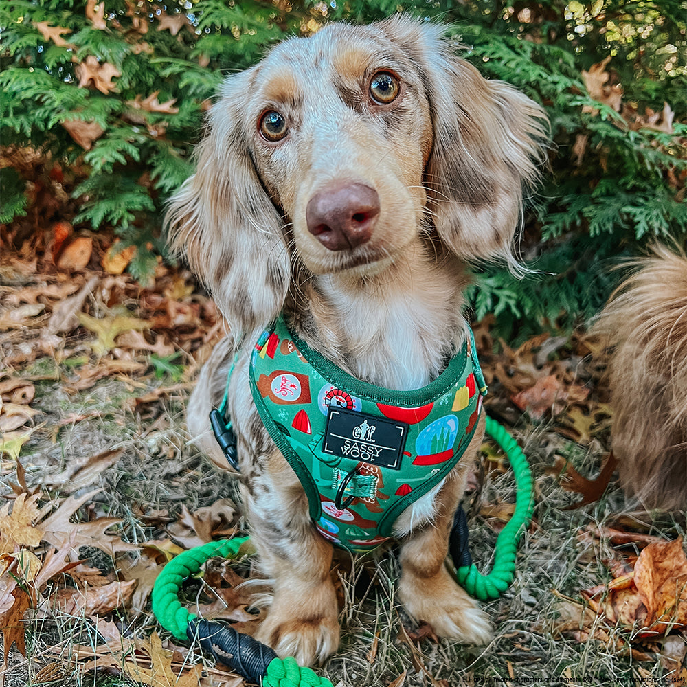 Dog Adjustable Harness - Elf™