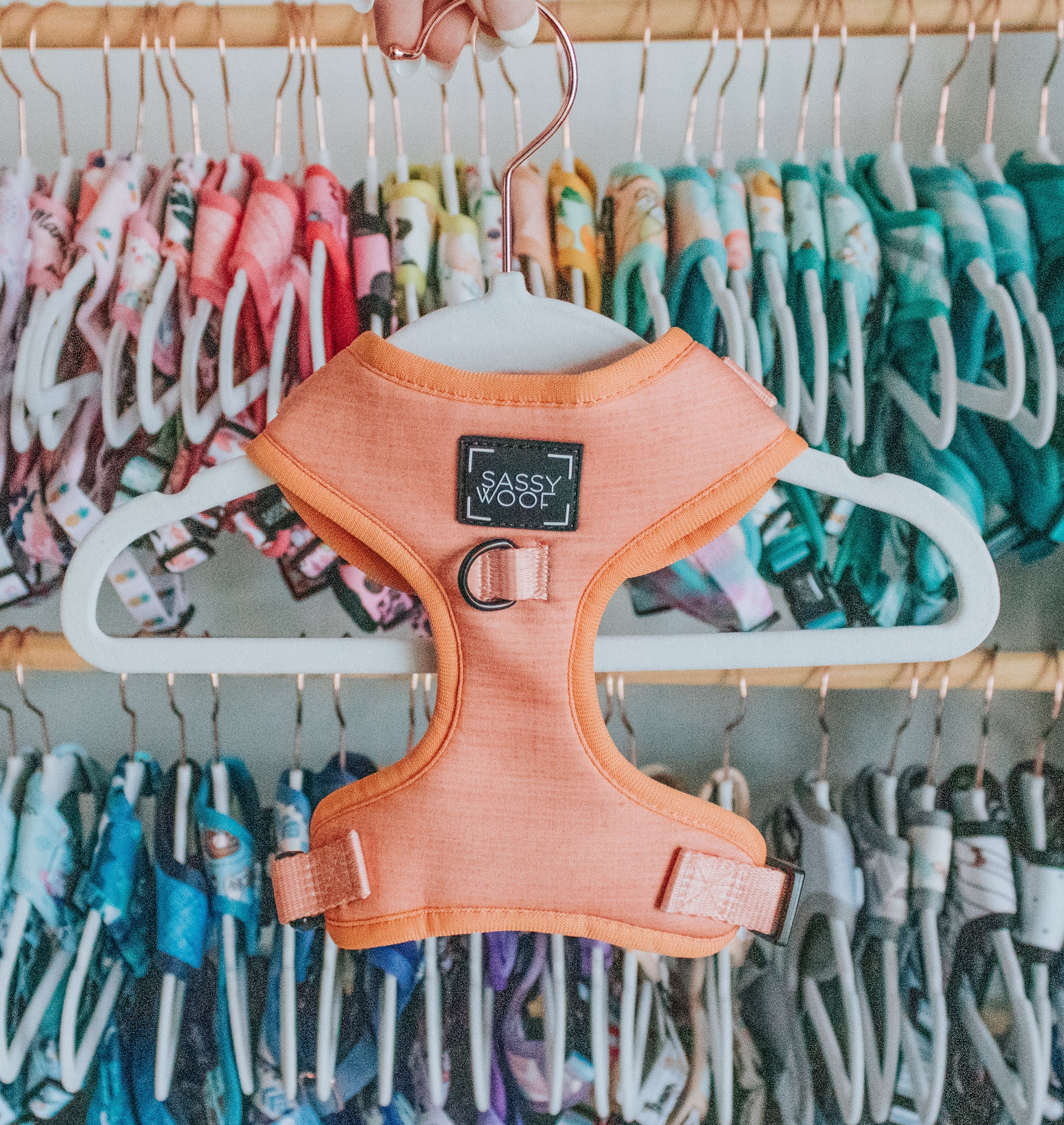 Dog Adjustable Harness - Apple Cider