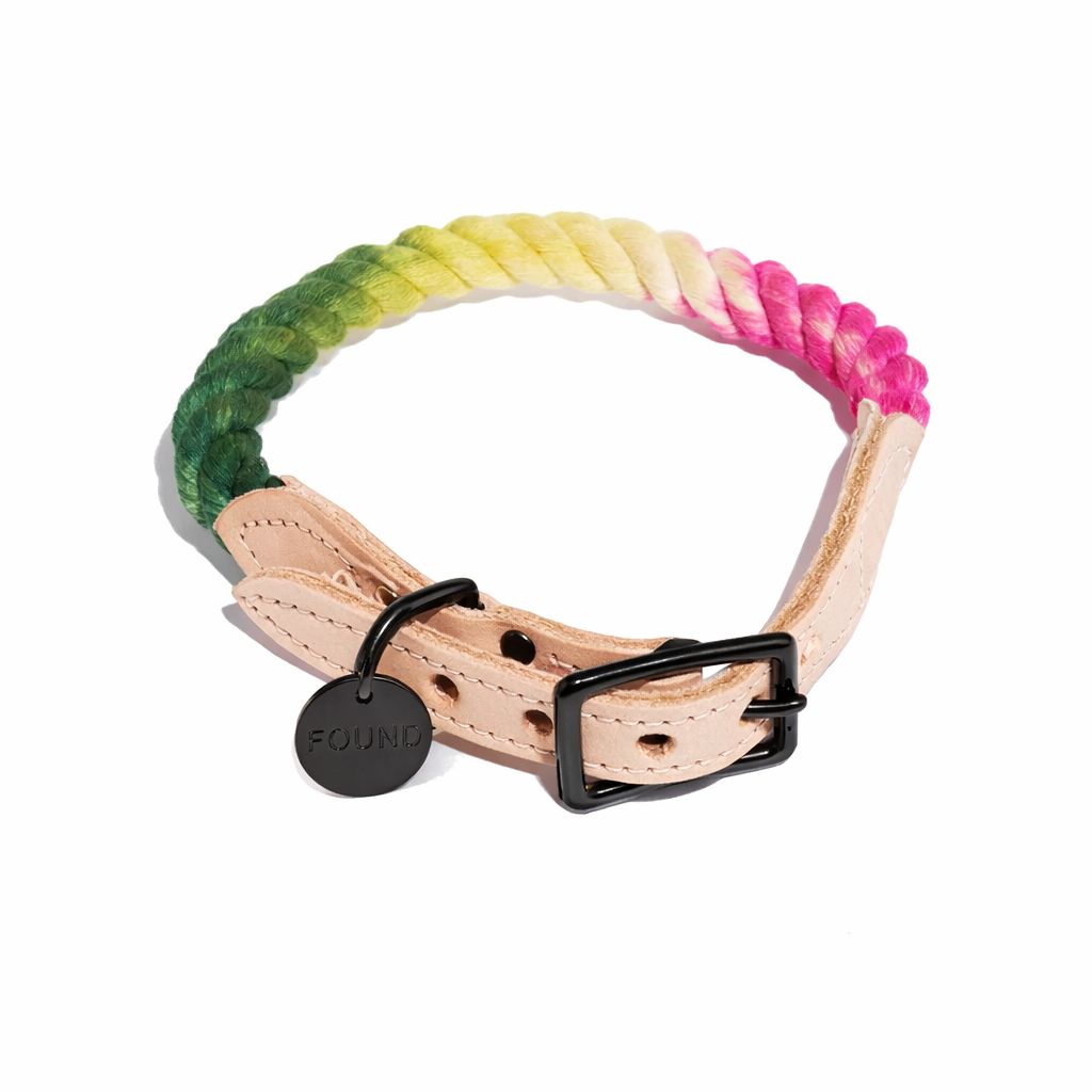Radish Ombre Cotton Rope Cat & Dog Collar – Matte Black Hardware