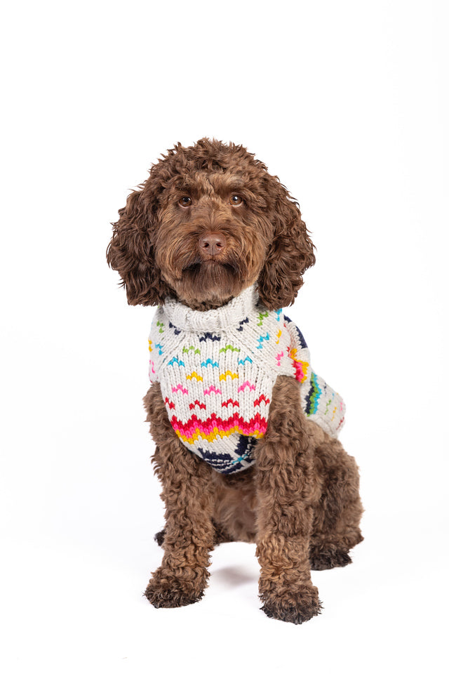 Rainbow Snowflake Dog Sweater