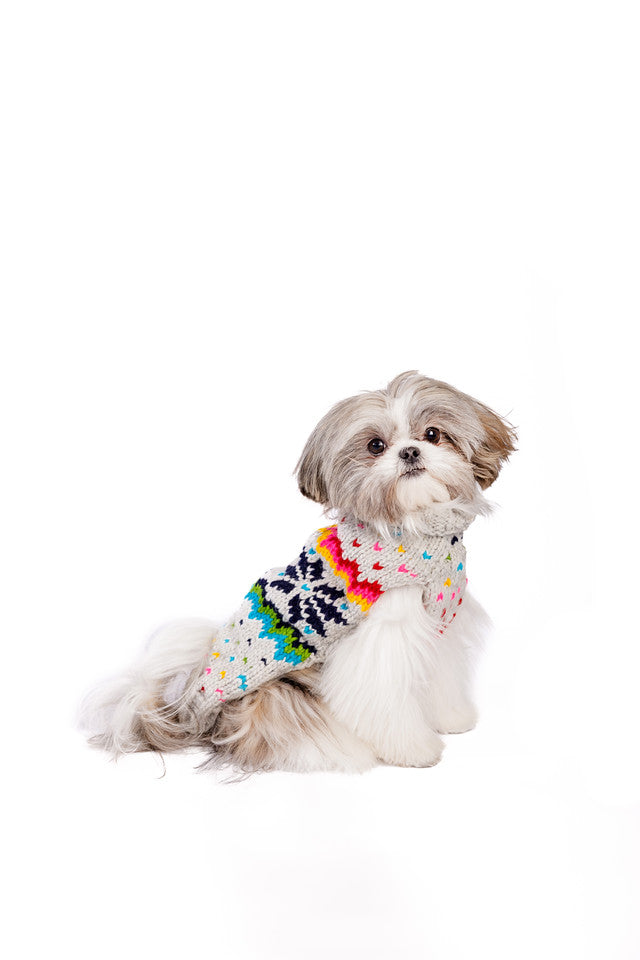 Rainbow Snowflake Dog Sweater