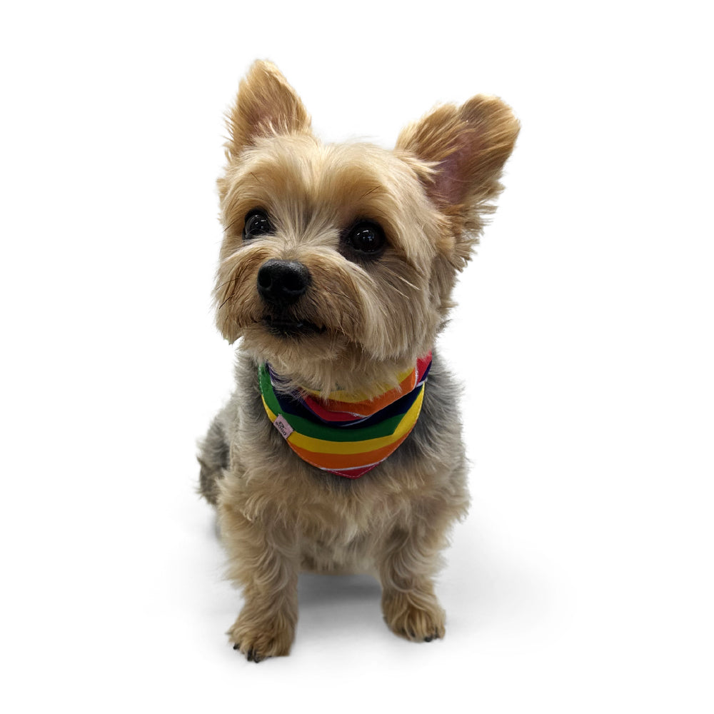 DOGO Rainbow Dog Bandana