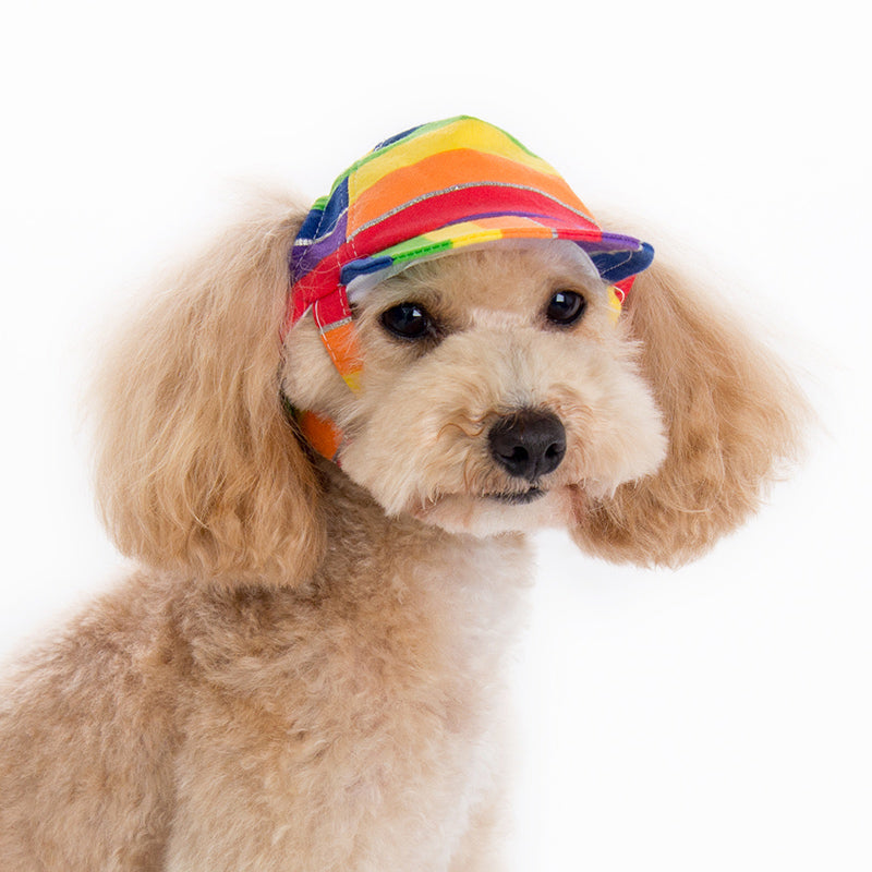 DOGO Rainbow Dog Baseball Hat