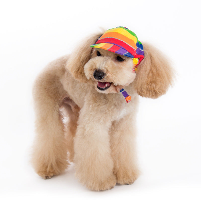 DOGO Rainbow Dog Baseball Hat