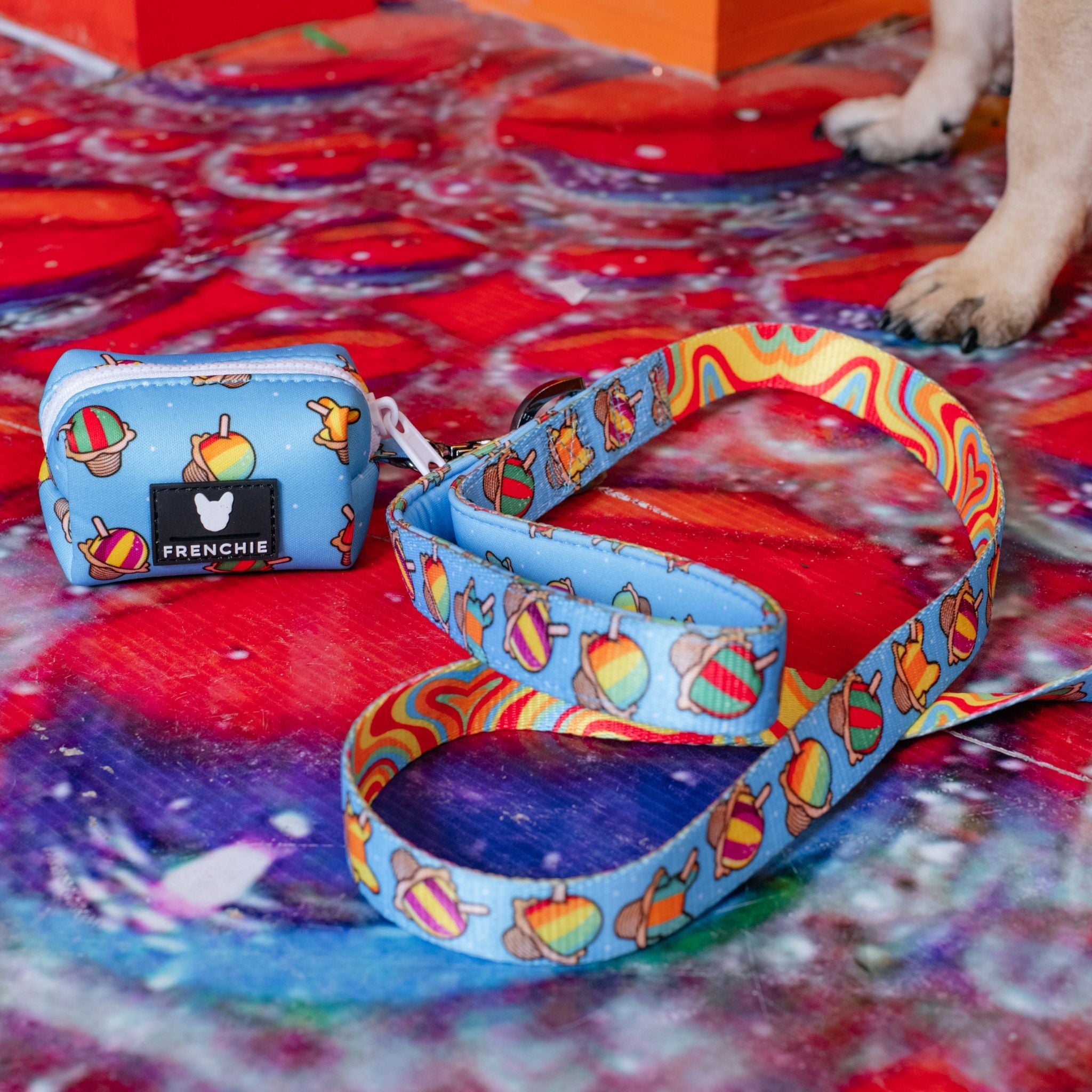 Frenchie Comfort Leash - Rainbow Ice
