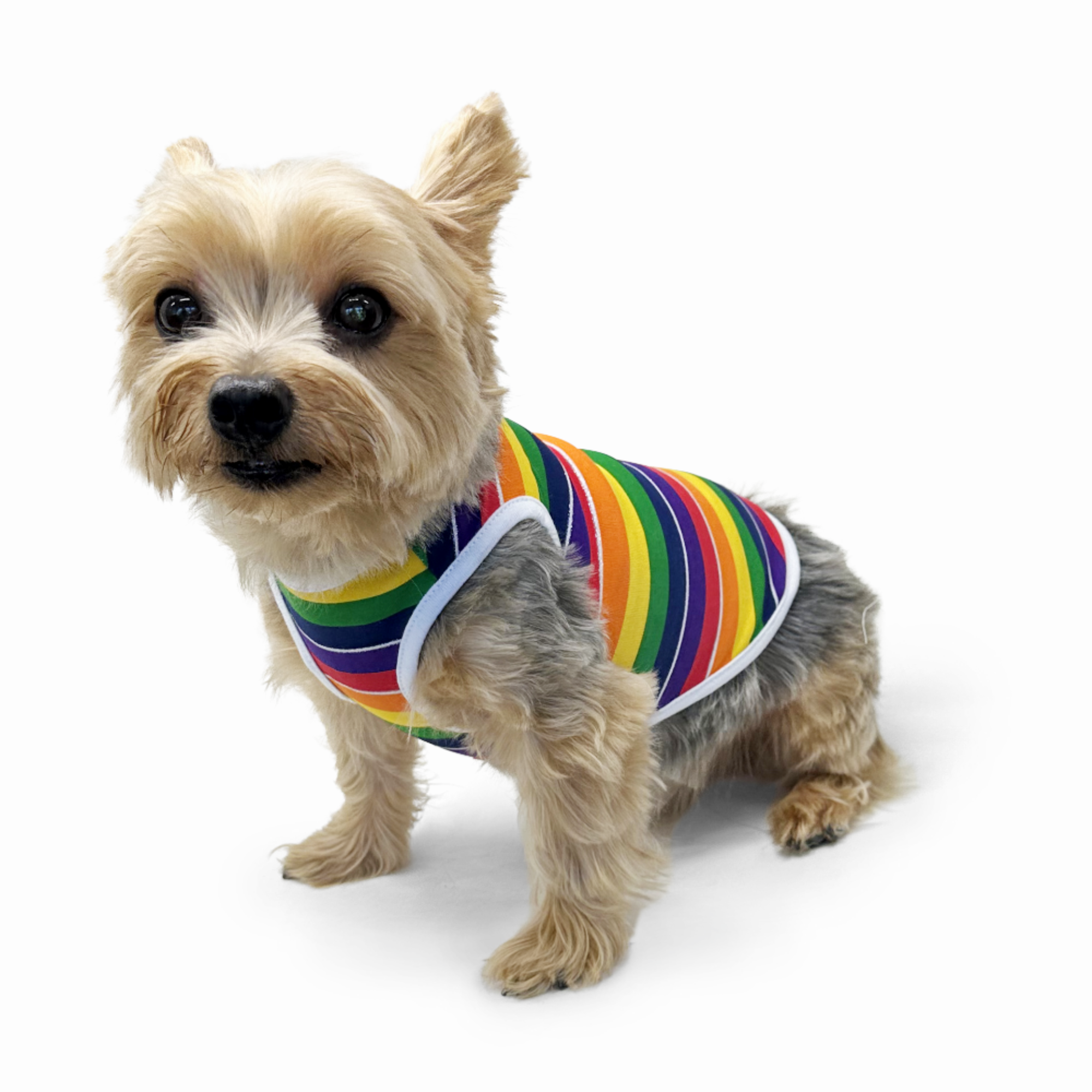 DOGO Rainbow Dog Tank Top