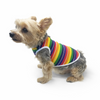 Rainbow Tank
