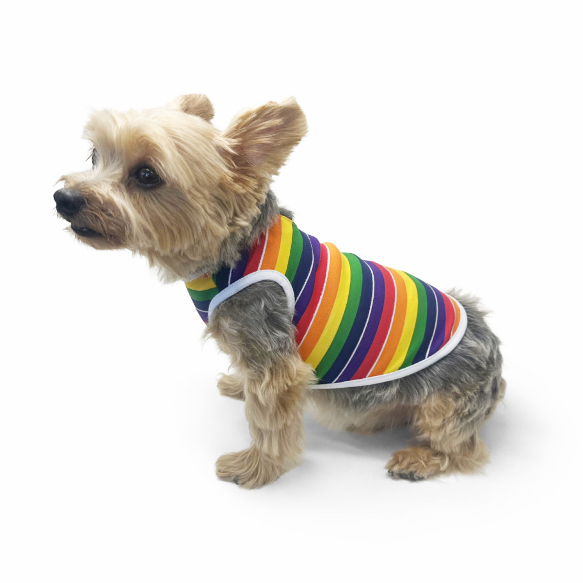 DOGO Rainbow Dog Tank Top