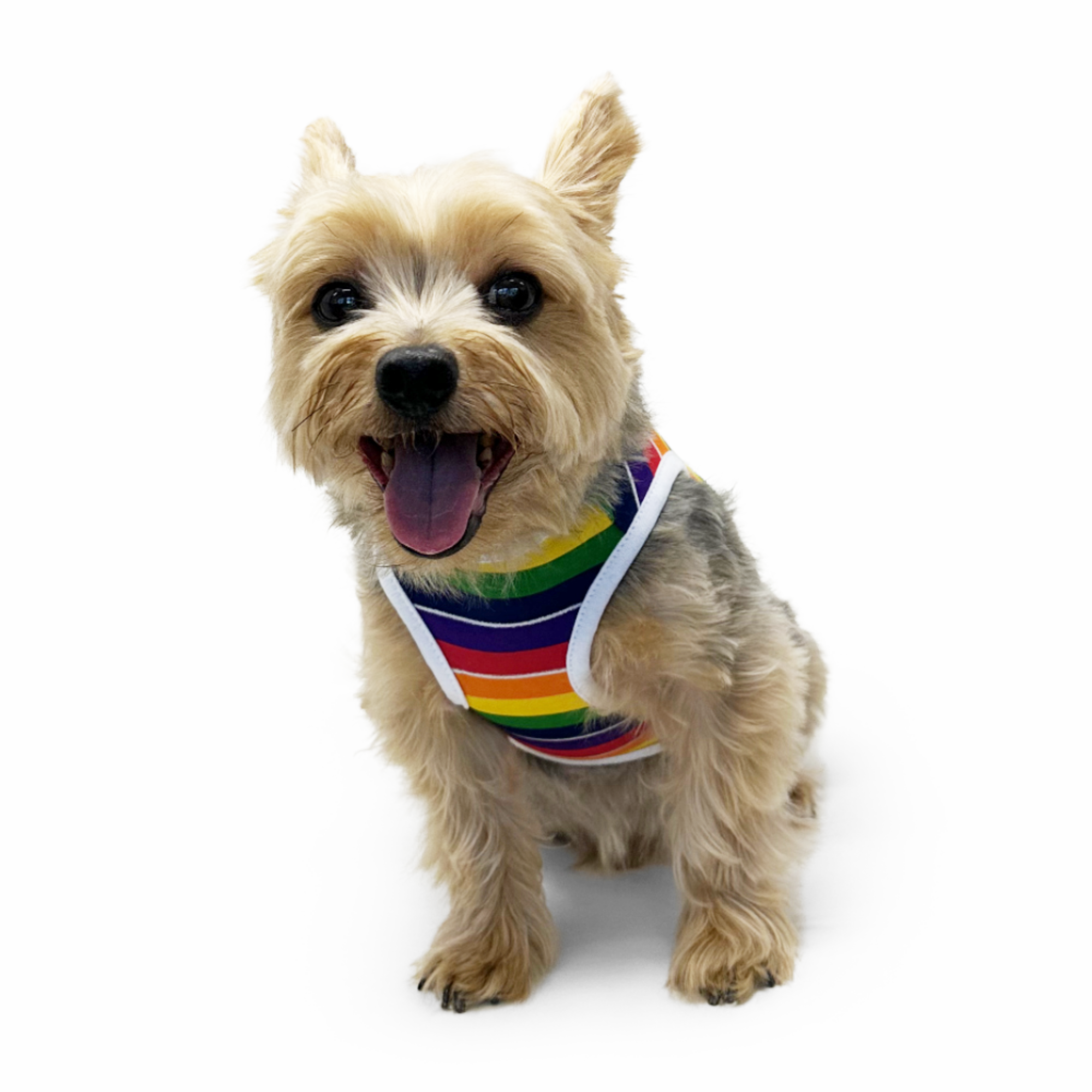 DOGO Rainbow Dog Tank Top