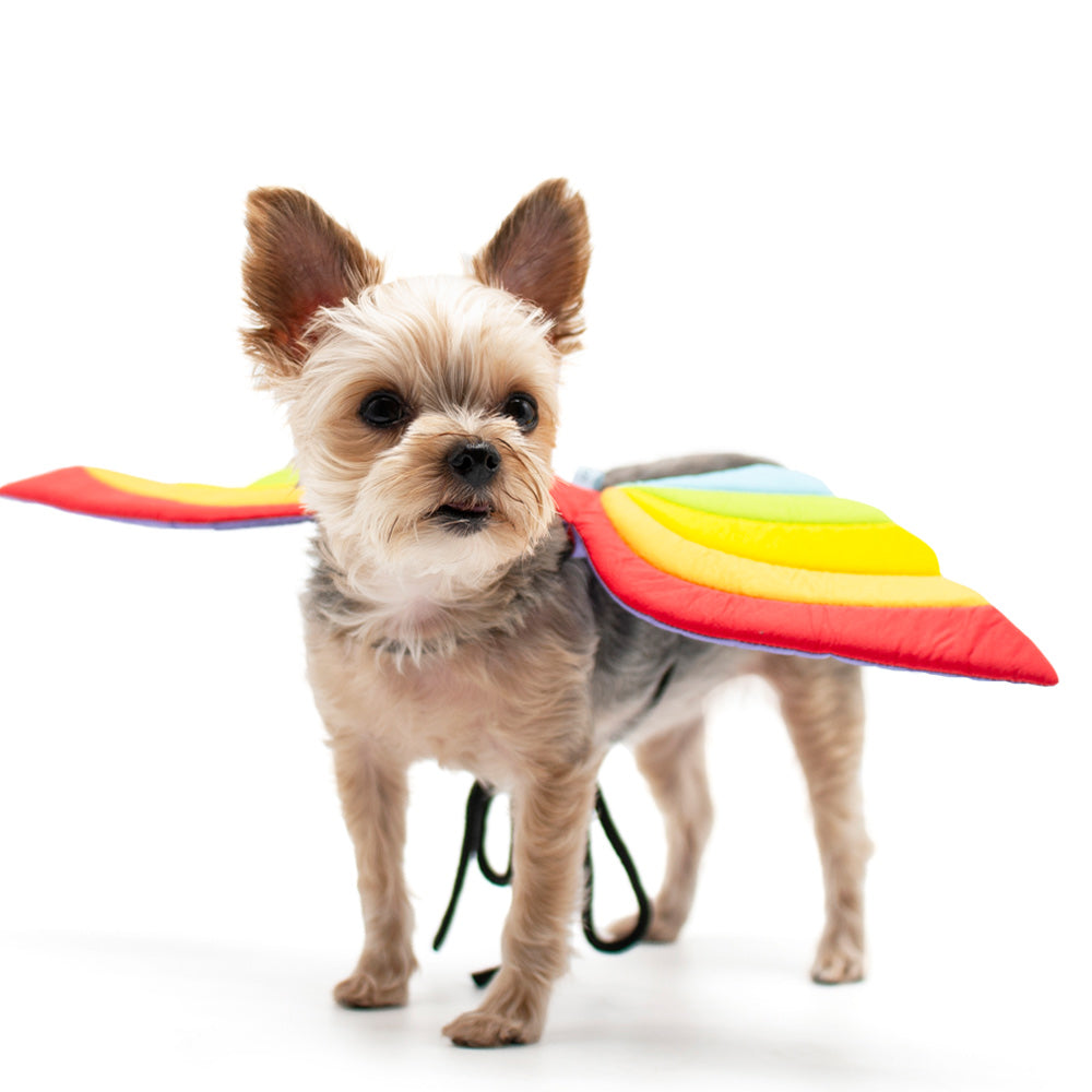 DOGO Rainbow Dog Costume Wings