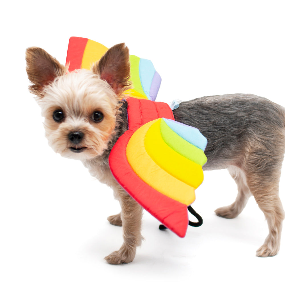 DOGO Rainbow Dog Costume Wings
