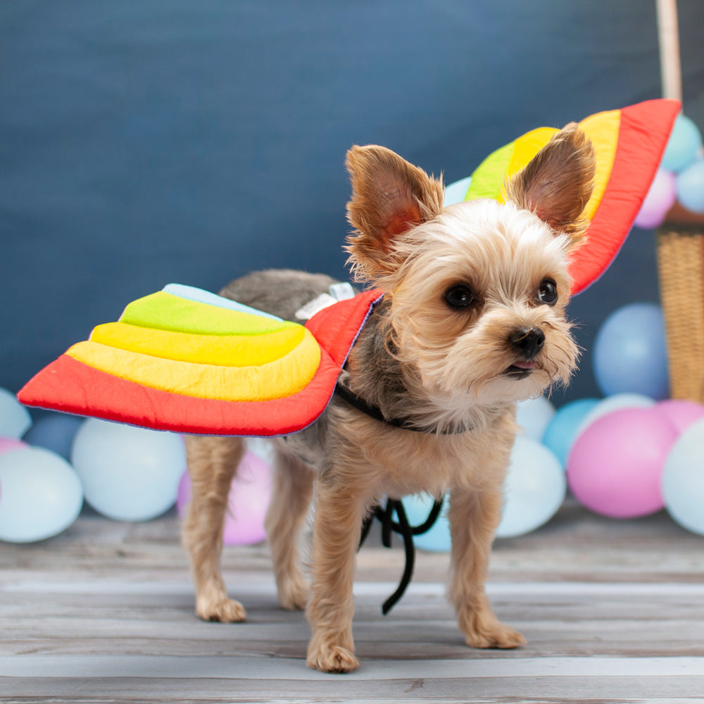 DOGO Rainbow Dog Costume Wings