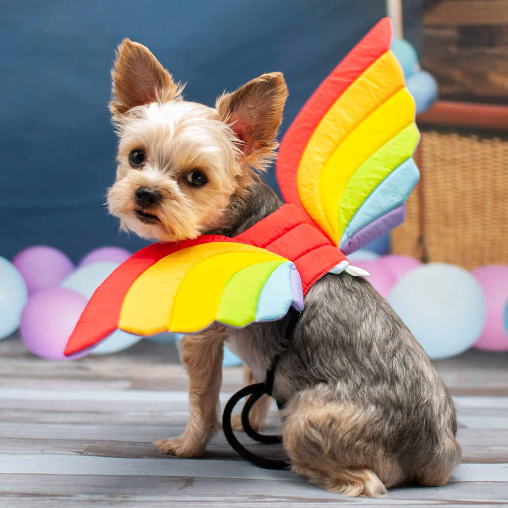DOGO Rainbow Dog Costume Wings