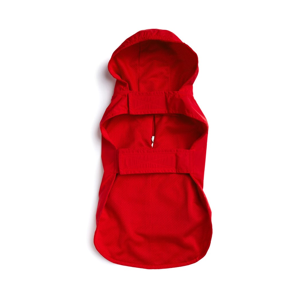 Red Raincoat 