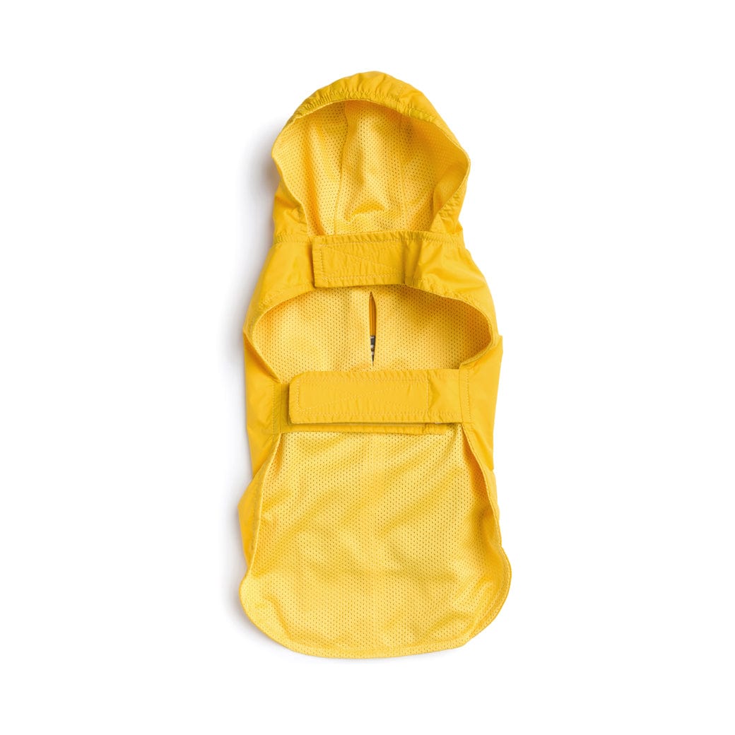 Yellow Raincoat 