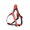 Up Country Red Gingham Small Breed Dog Harness Made in USA