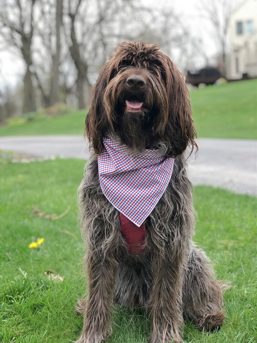 Red, White & Blue Plaid