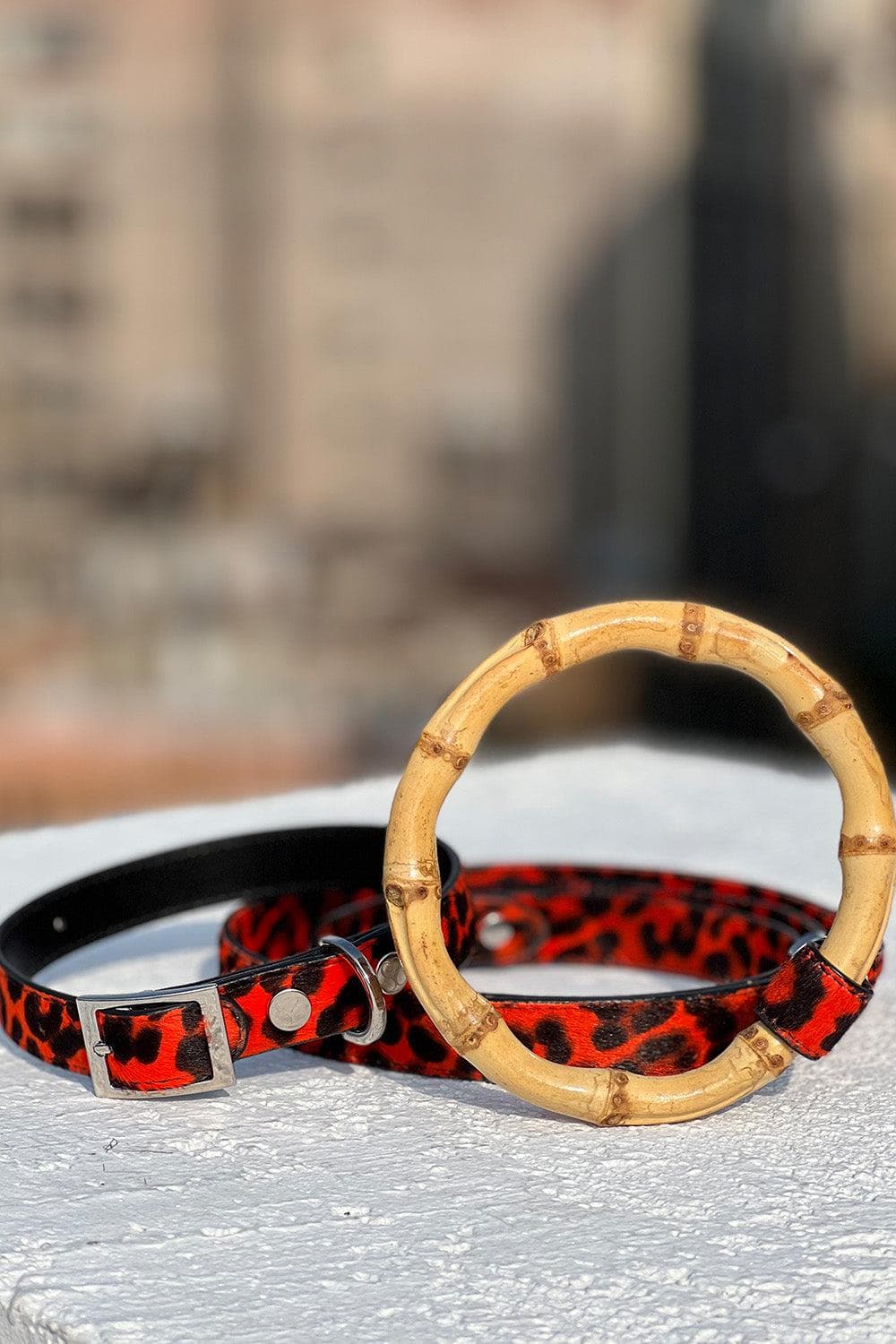 Sasha Leash - Red Leopard 