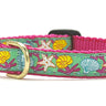 Reef Small Breed Dog Collar