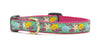 Up Country Reef Small Breed Dog Collar Made in USA