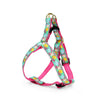 Up Country Reef Small Breed Dog Harness Made in USA