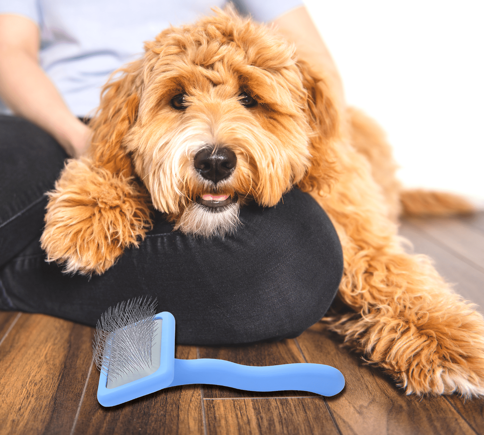 Slicker Brush for Dogs Small