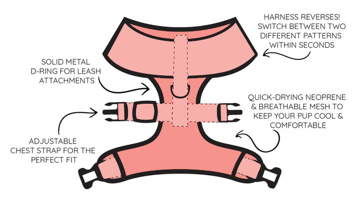 Dog Reversible Harness - Wag Your Teal