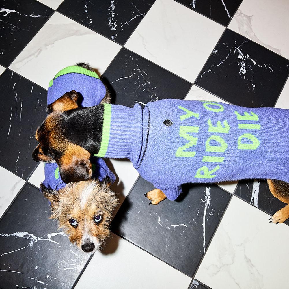 Ride or Die Sweater