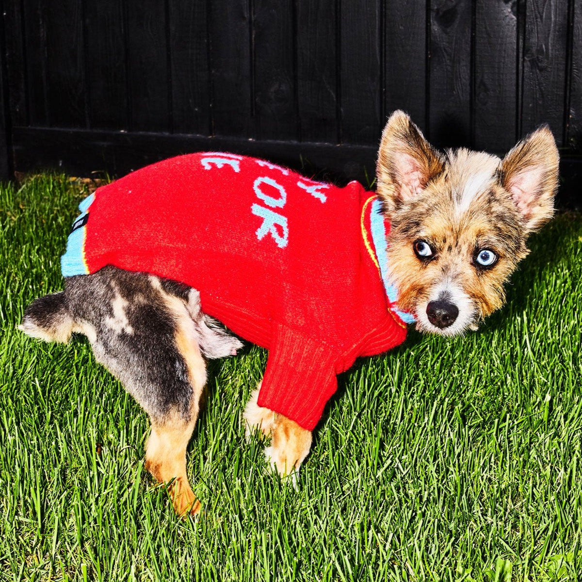 Ride or Die Sweater